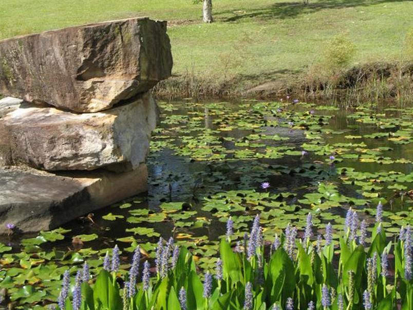 Tuckeroo Cottages & Gardens Rathdowney Dış mekan fotoğraf