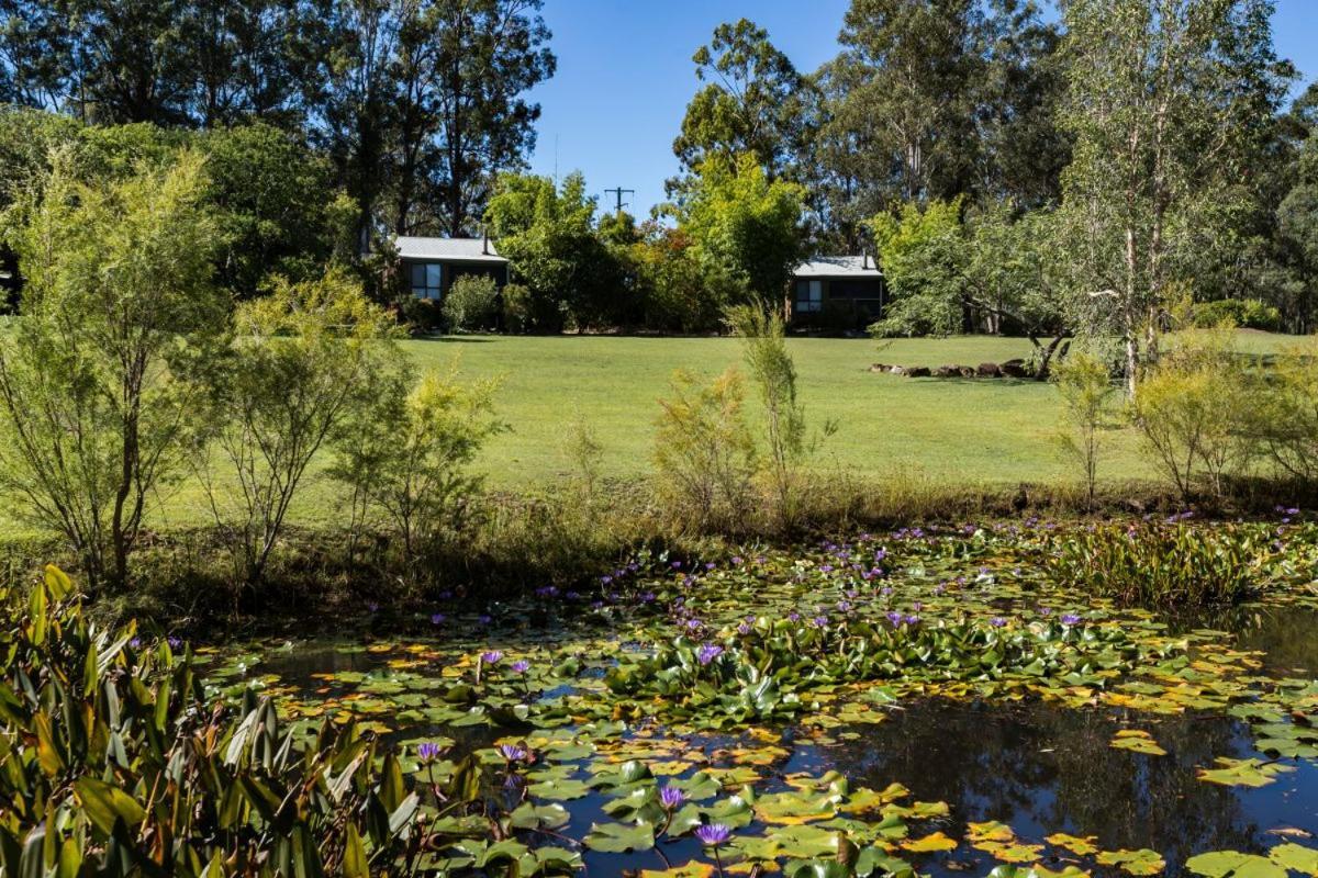 Tuckeroo Cottages & Gardens Rathdowney Dış mekan fotoğraf